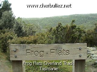 légende: Frog Flats Overland Track Tasmanie
qualityCode=raw
sizeCode=half

Données de l'image originale:
Taille originale: 158261 bytes
Temps d'exposition: 1/50 s
Diaph: f/280/100
Heure de prise de vue: 2003:02:10 09:53:11
Flash: non
Focale: 42/10 mm
